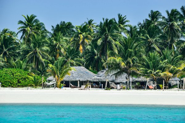 Où trouver des ateliers de fabrication de tapis traditionnels en Iran?